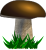 mushroom