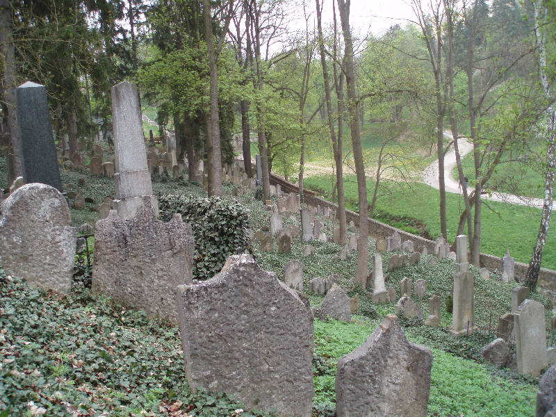 2013 exk Jar. Trebic 8