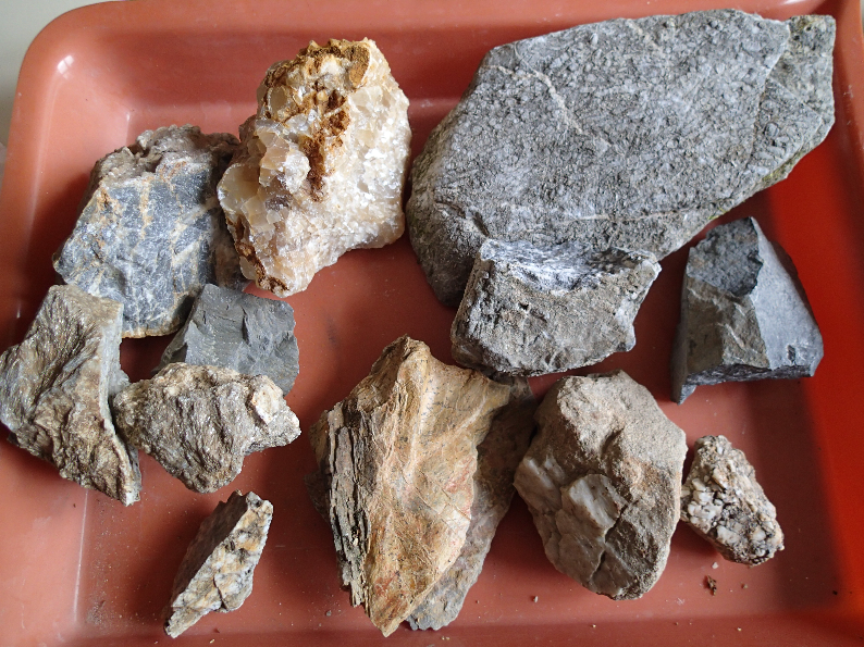 Vzorky připravené k vystavení