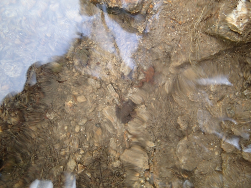 05 všechny tři druhy kolem vyvěrající vody