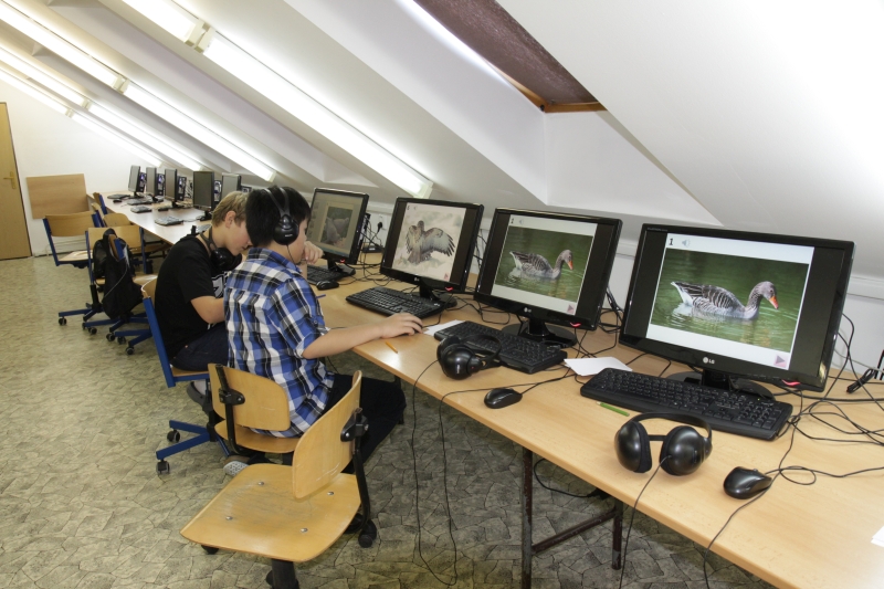 Věda nejen pro Alfréda 036