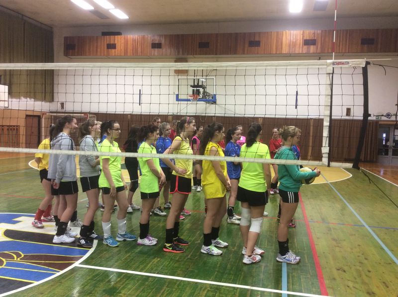 2015 11 volejbal 2