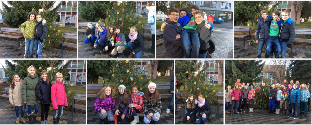 2015 12 stromek prima