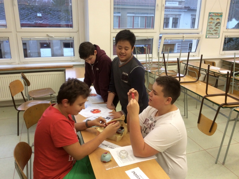 2015 12 Alfred - zrak 01