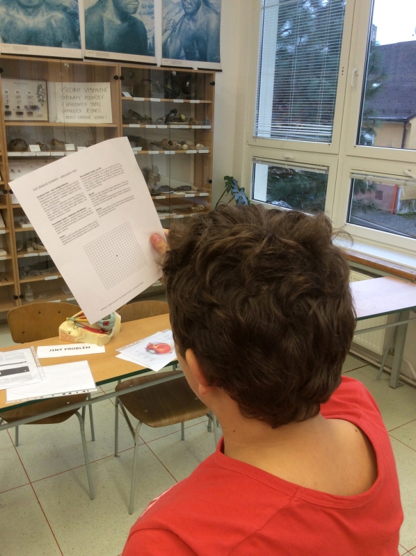 2015 12 Alfred - zrak 02