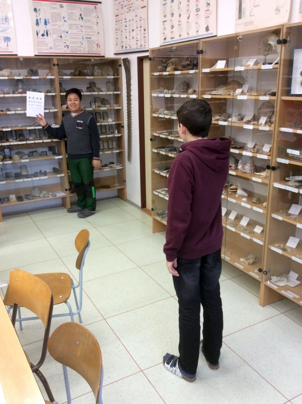 2015 12 Alfred - zrak 04