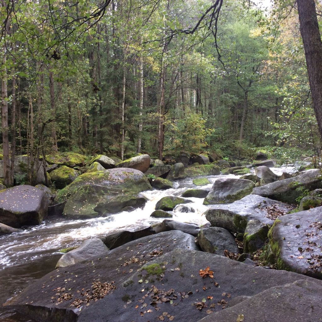 2016 10 botanicky vikend 03