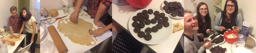 2016 12 gastrokrouzek