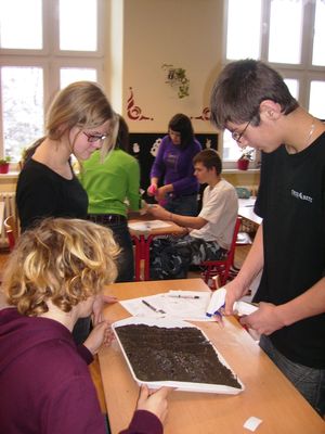 halkova2 04-halkova2